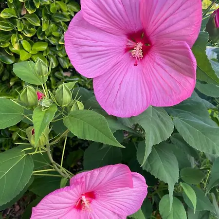 Les 4 Mondes Nocleg ze śniadaniem