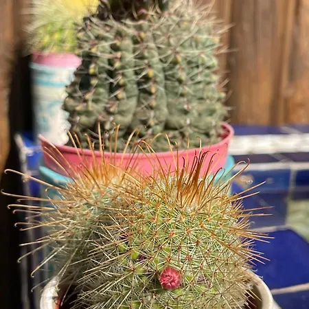 Les 4 Mondes 4* Vieux-Boucau-les-Bains