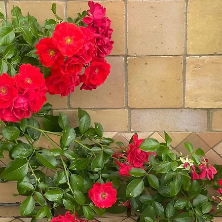 Les 4 Mondes Nocleg ze śniadaniem