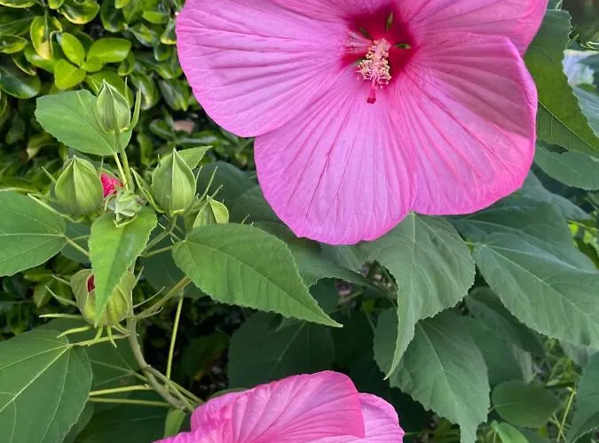 Les 4 Mondes Bed and Breakfast