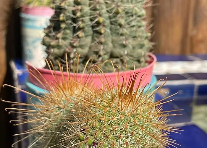 Les 4 Mondes 4* Vieux-Boucau-les-Bains