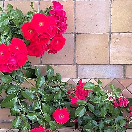 Bed & Breakfast Les 4 Mondes Vieux-Boucau-les-Bains