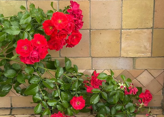 Les 4 Mondes Bed & Breakfast